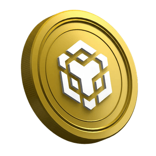 Página do guia destinado a novos traders com a criptomoeda BNB